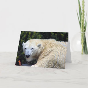 Carte Beau Ours Polaire Unique Personnalisé