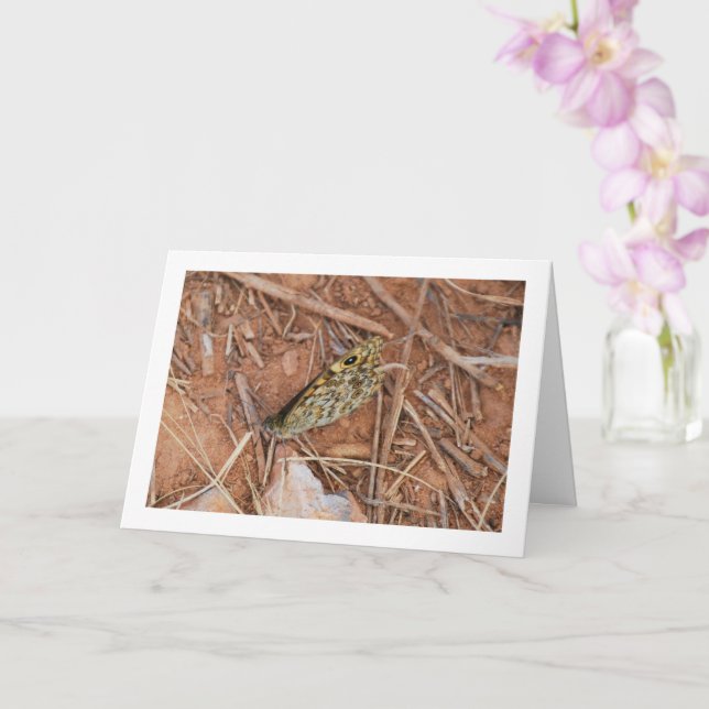 Carte Beau Papillon (Orchidée)