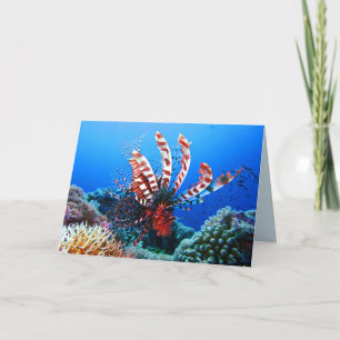 Carte Beau poisson-Lion Tropical