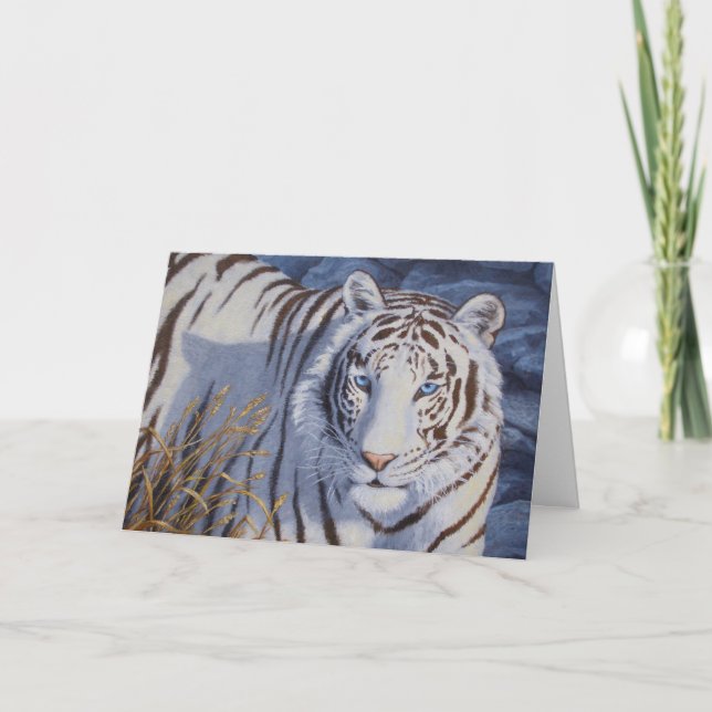 Carte Beau tigre blanc aux yeux bleu cristal (Devant)