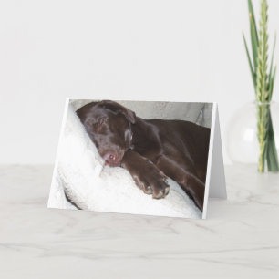 Carte Beauté de sommeil