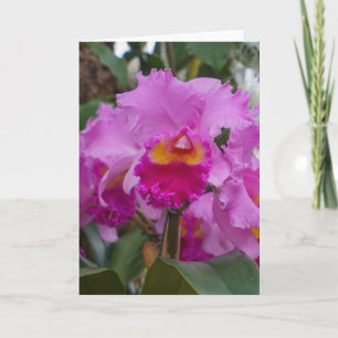 Carte Beauté d'orchidée