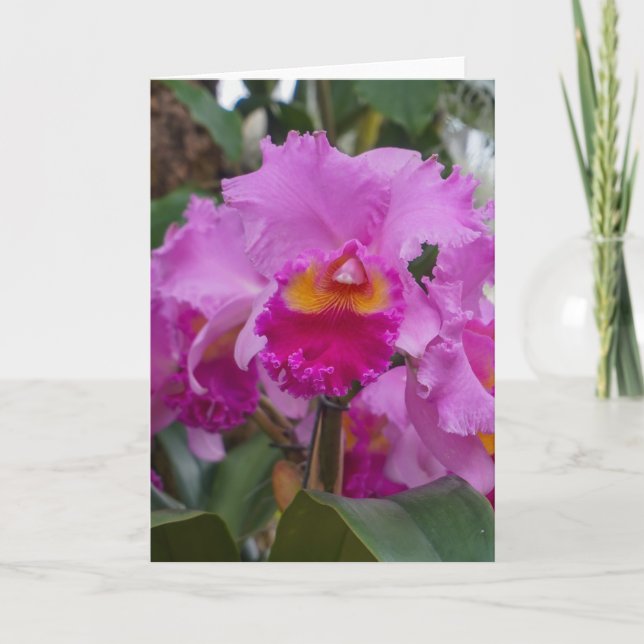 Carte Beauté d'orchidée (Devant)