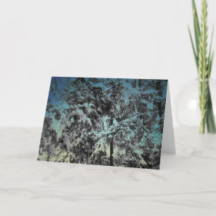 Carte Beauté hivernale enneigée