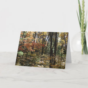 Carte Beauté profonde en bois