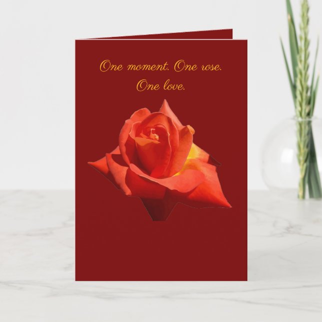 Carte Beautiful Red Rose Isolated Photograph Vector (Devant)