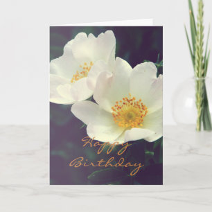 Carte Beautiful Wild Rose Happy Birthday Card