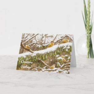 Carte Beaux Oiseaux de neige sur neige tombant Noël
