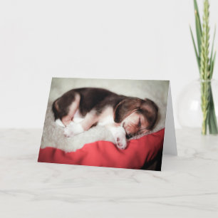 Carte Bébé Beagle dormant