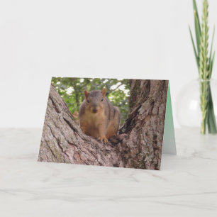 Carte Bébé écureuil mignon dans un arbre Vierge
