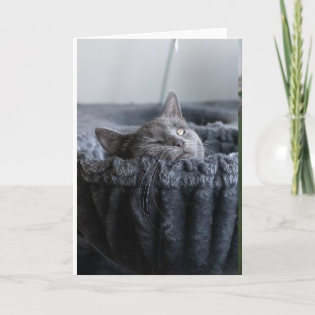 Carte Bébé El (Devant)