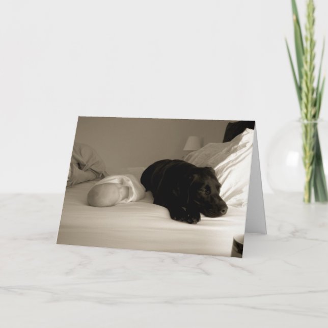 Carte Bébé et chien (Devant)