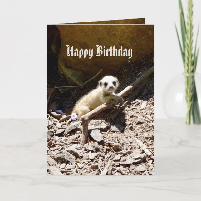 Carte Bébé Meerkat, anniversaire d'Insy Winsy (Devant)