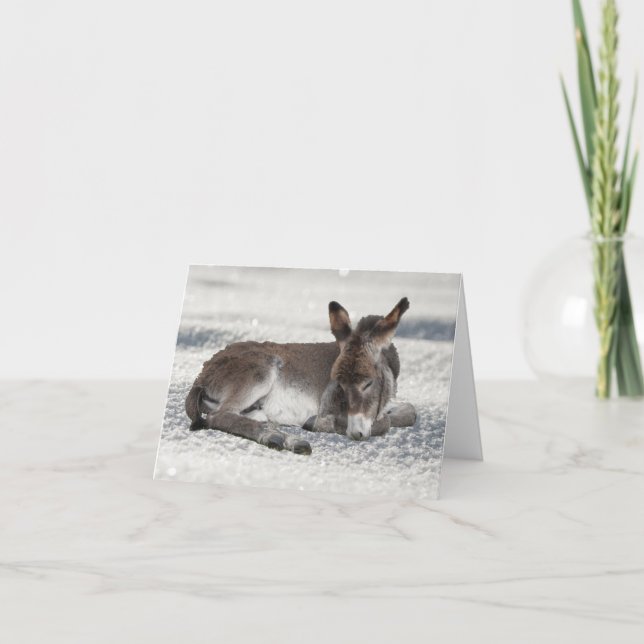 Carte Bébé mignon âne à Noël de neige (Devant)
