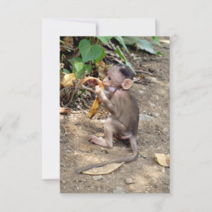 Carte Bébé singe