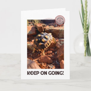 Carte Bébé Sulcata randonnée à Sedona Red Rocks Arizona