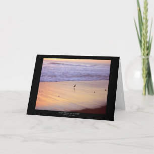 Carte Bécasseau au coucher du soleil : Plage de Ventura