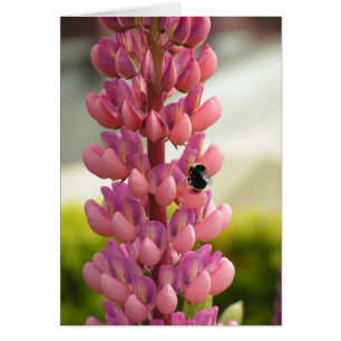 Carte Bee 5x7
