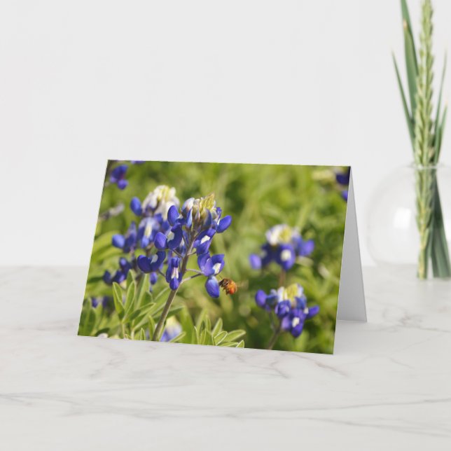 Carte Bee and Bluebonnets Scriture Card 2 Peter 1:5-8 (Devant)