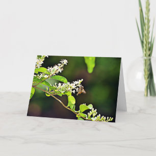 Carte Bee Blossom Scripture Card Psaume 119:103