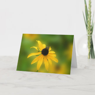 Carte Bee On Black Eyed Suzy Greeting card
