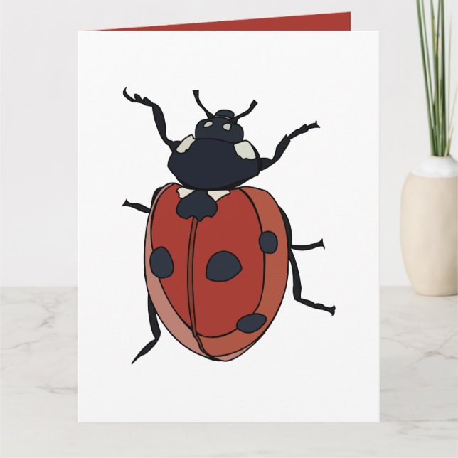 Carte Beetles Insectes Ladybug Beetles (Devant)
