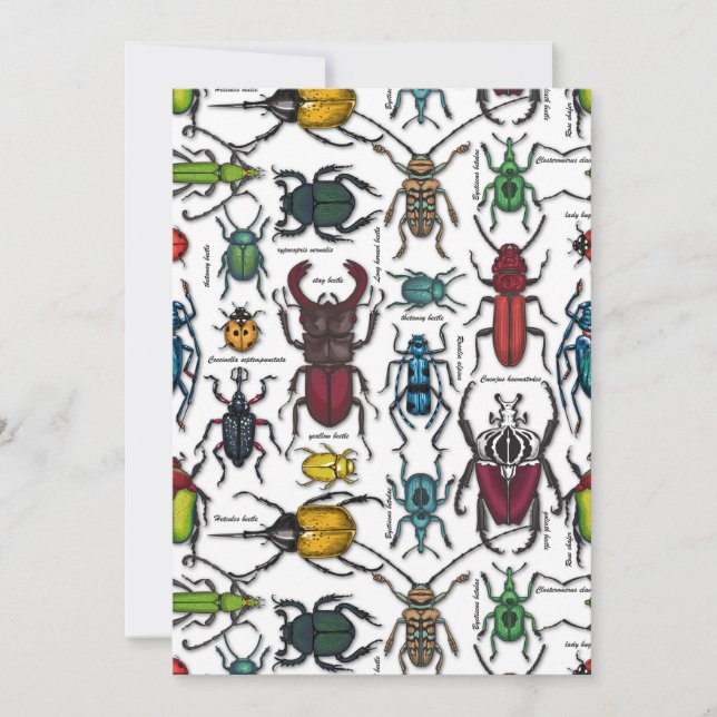 Carte Beetons sur blanc (Devant)