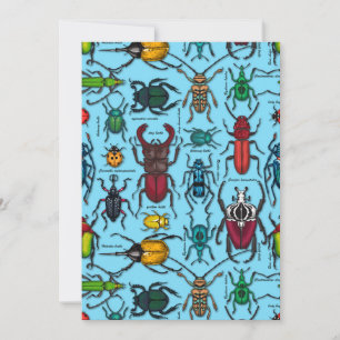 Carte Beetons sur bleu