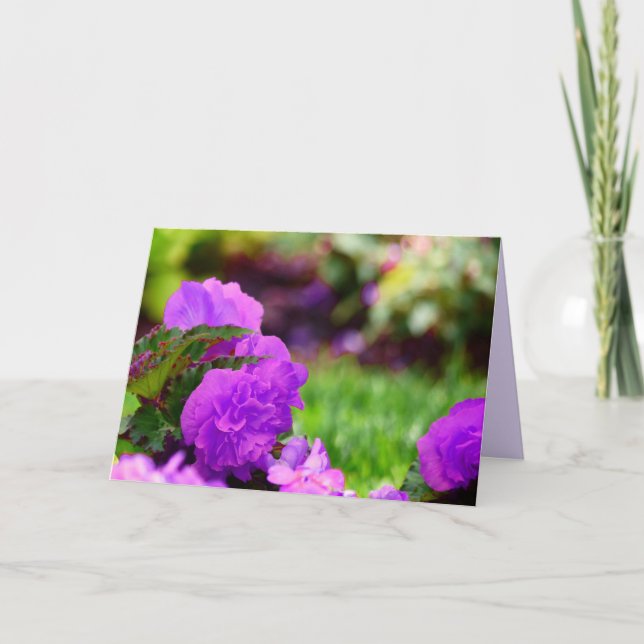 Carte Bégonias en cire double violet, vierge à l'intérie (Devant)