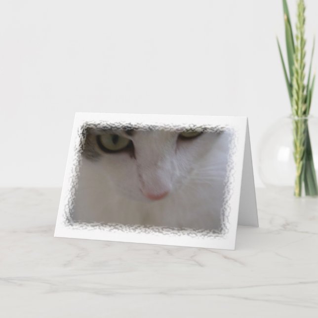 Carte Bel anniversaire (Devant)