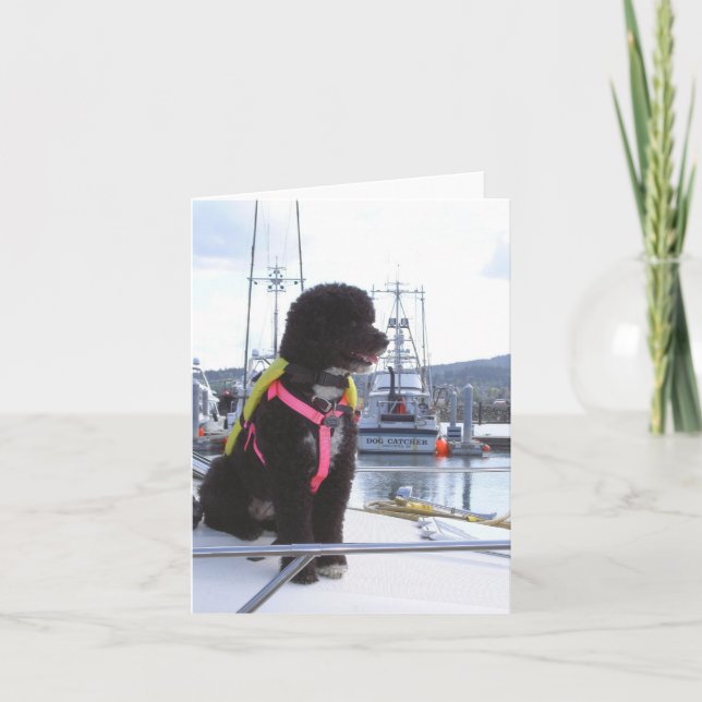 Carte Bella et le receveur de chien (Devant)