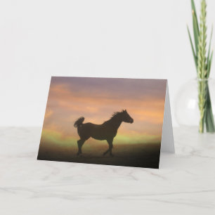 Carte Belle Arabian Horse Dans Sunrise Note Card