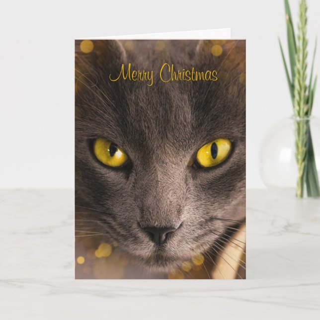 Carte Belle Chat Brown avec aurores Noël (Devant)