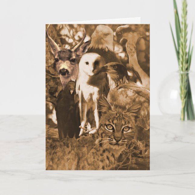 Carte Belle faune Animaux vierges (Devant)