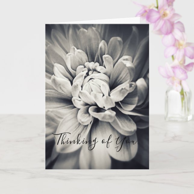 Carte Belle Fleur Noir et Blanc Pensant à Vous (Orchidée)