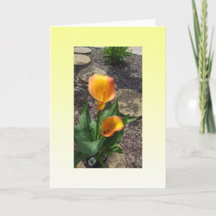 Carte Belle Fleurs Jaunes Blank