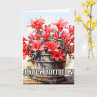 Belle floraison de fleurs de Lily