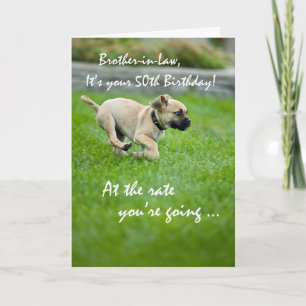 Carte Belle-frère, 50e anniversaire avec un chiot