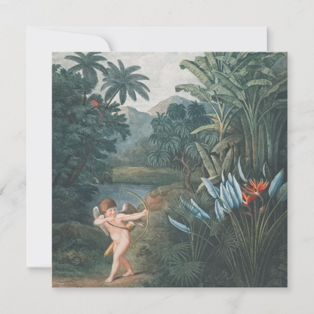 Carte Belle Impression Angel, Pos Pos Papier Poster (Mat (Devant)