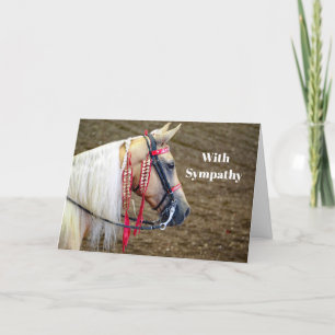 Carte Belle Palomino Horse Photo Sympathie