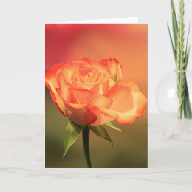 Carte Belle photo de Rose romantique (Devant)