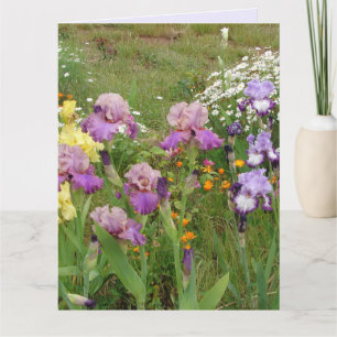 Carte Belle photo florale d'iris violet