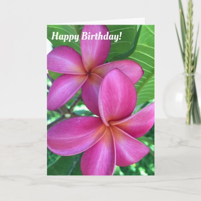 Carte Belle Plumeria maui (Devant)