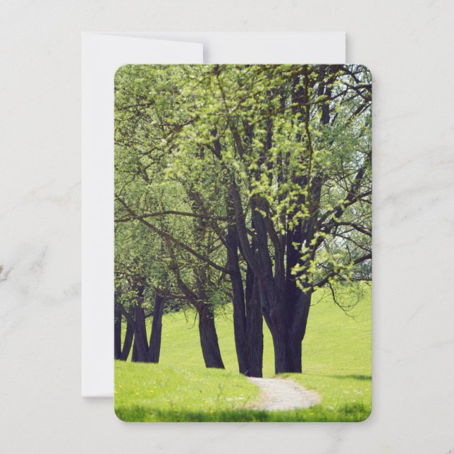 Carte Belle prairie (Devant)