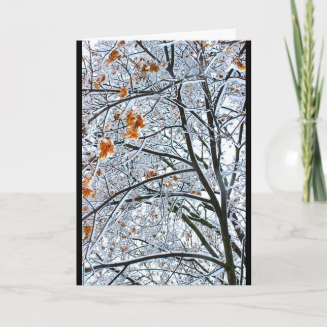 Carte Belle Scène De Neige À Chaque Occasion (Devant)