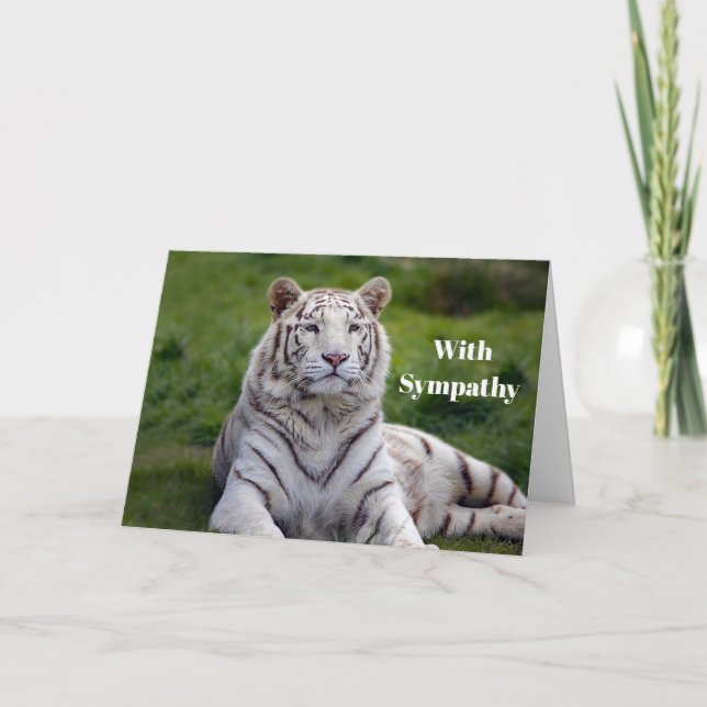 Carte Belle Sympathie Photo Tigre Blanc (Devant)
