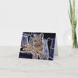 Carte Belle Tabby