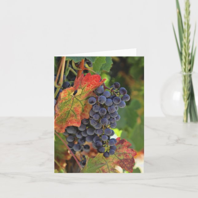 Carte Belle Vigne Vignoble Vignoble Vignoble Vigne Nota  (Devant)