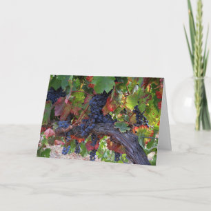 Carte Belle Vignoble Automne avec raisins