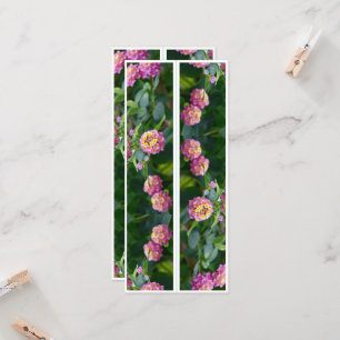 Carte Belles Fleurs Roses Deux Signets